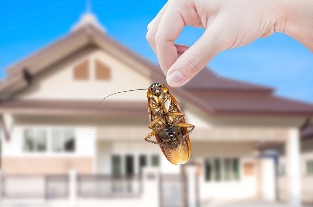 CÔNG TY TNHH DỊCH VỤ NHÀ SẠCH LÀO CAI