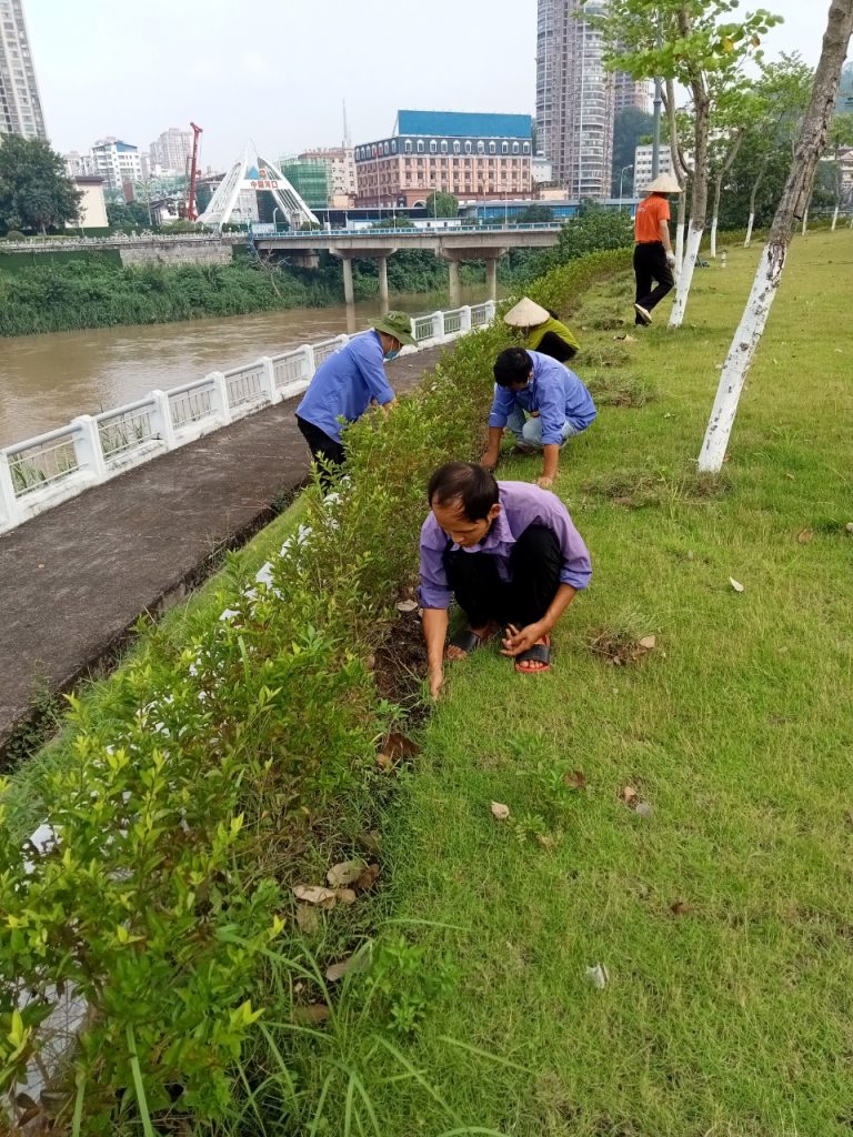 CÔNG TY TNHH DỊCH VỤ NHÀ SẠCH LÀO CAI